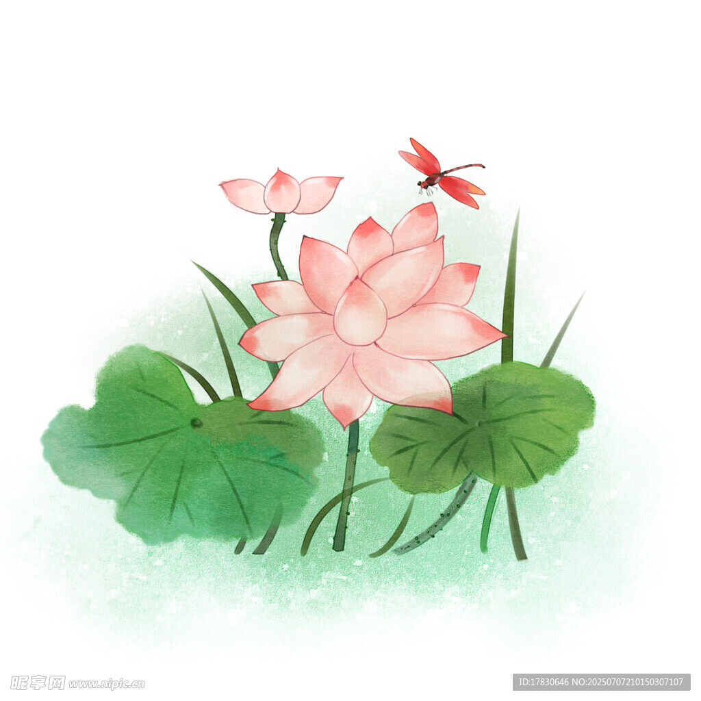 水墨荷花与蜻蜓图