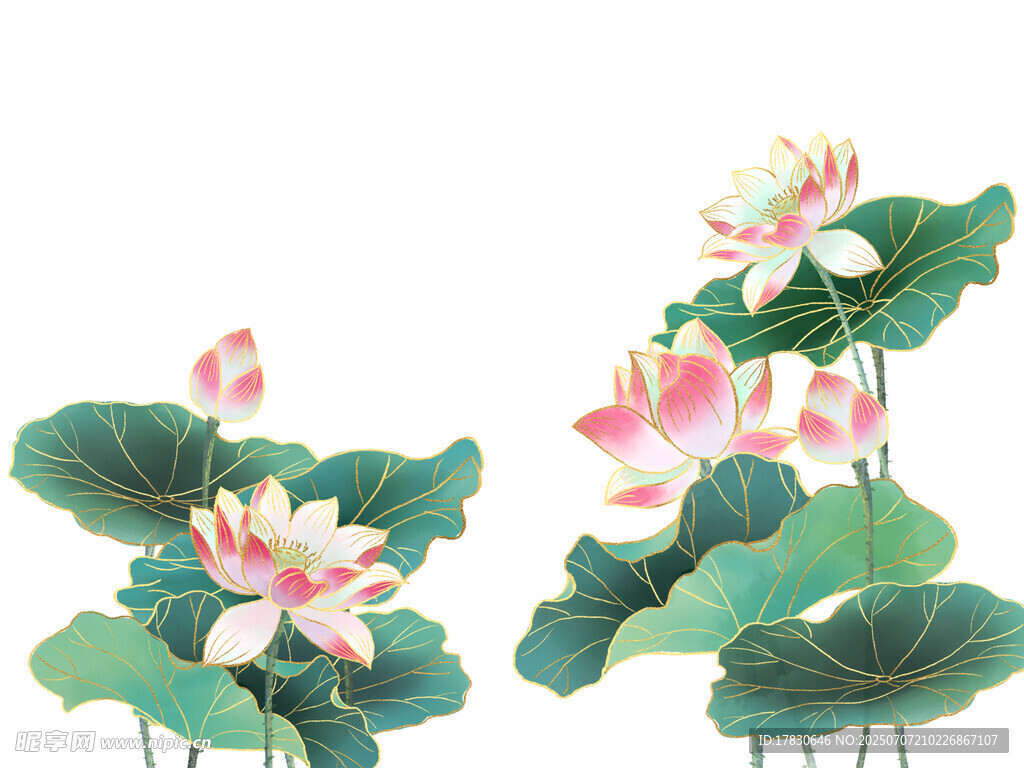 水墨荷花图