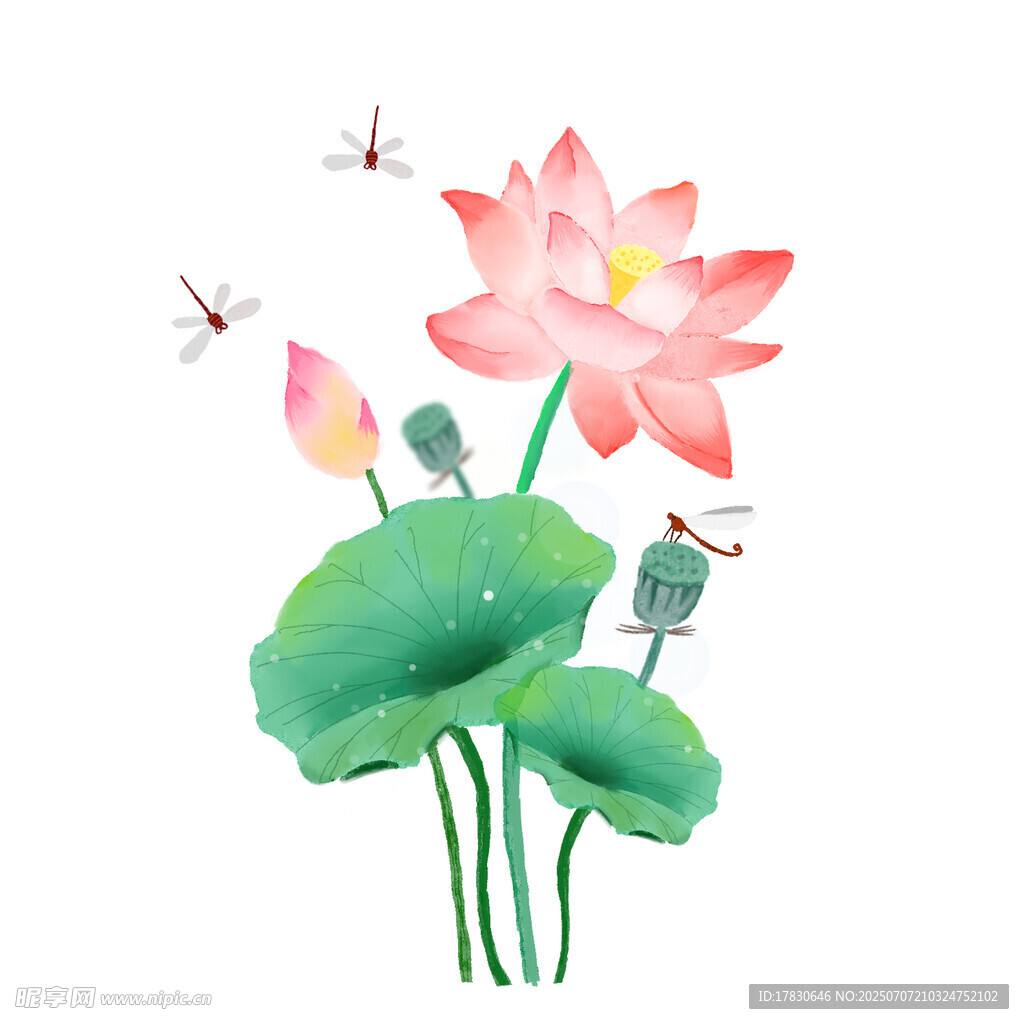 水墨荷花蜻蜓图