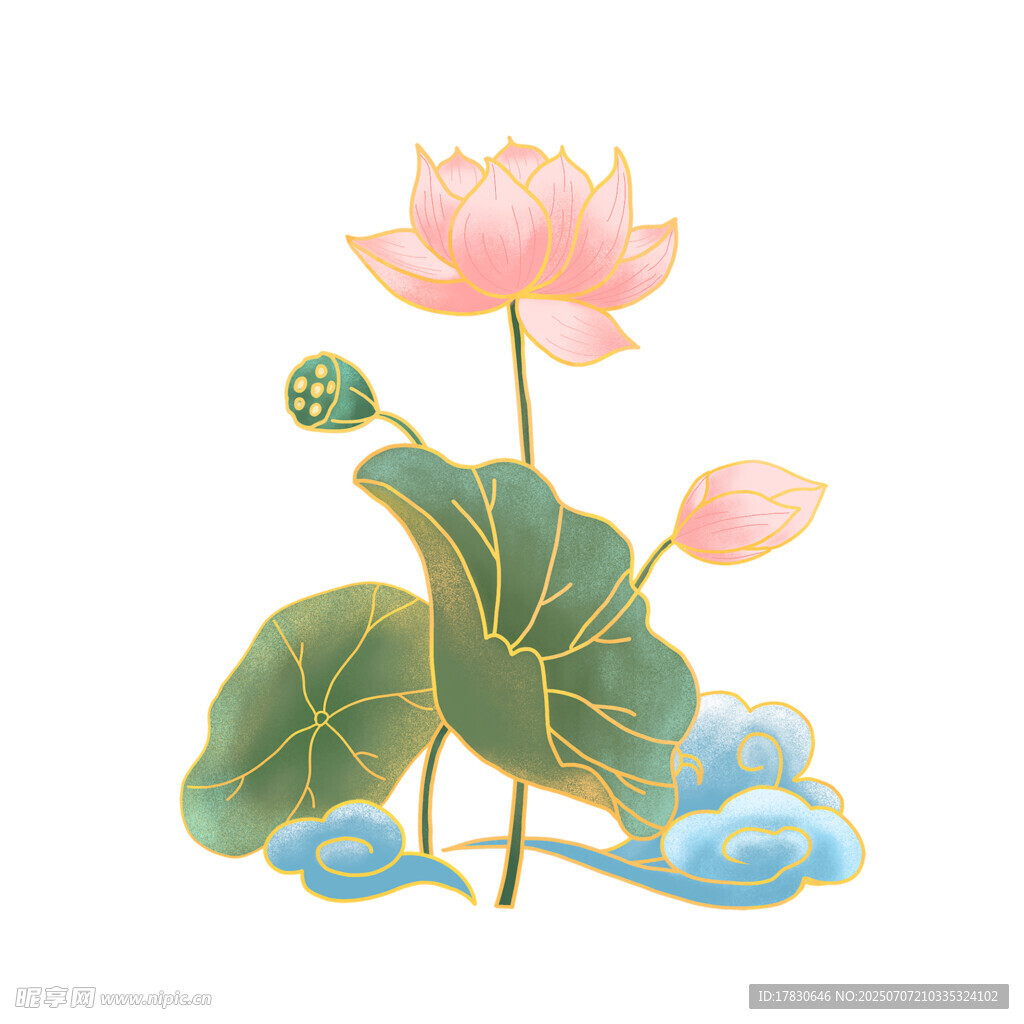手绘中式荷花荷叶插画