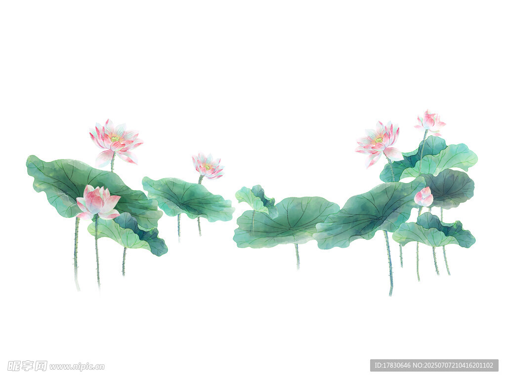 水墨荷花图