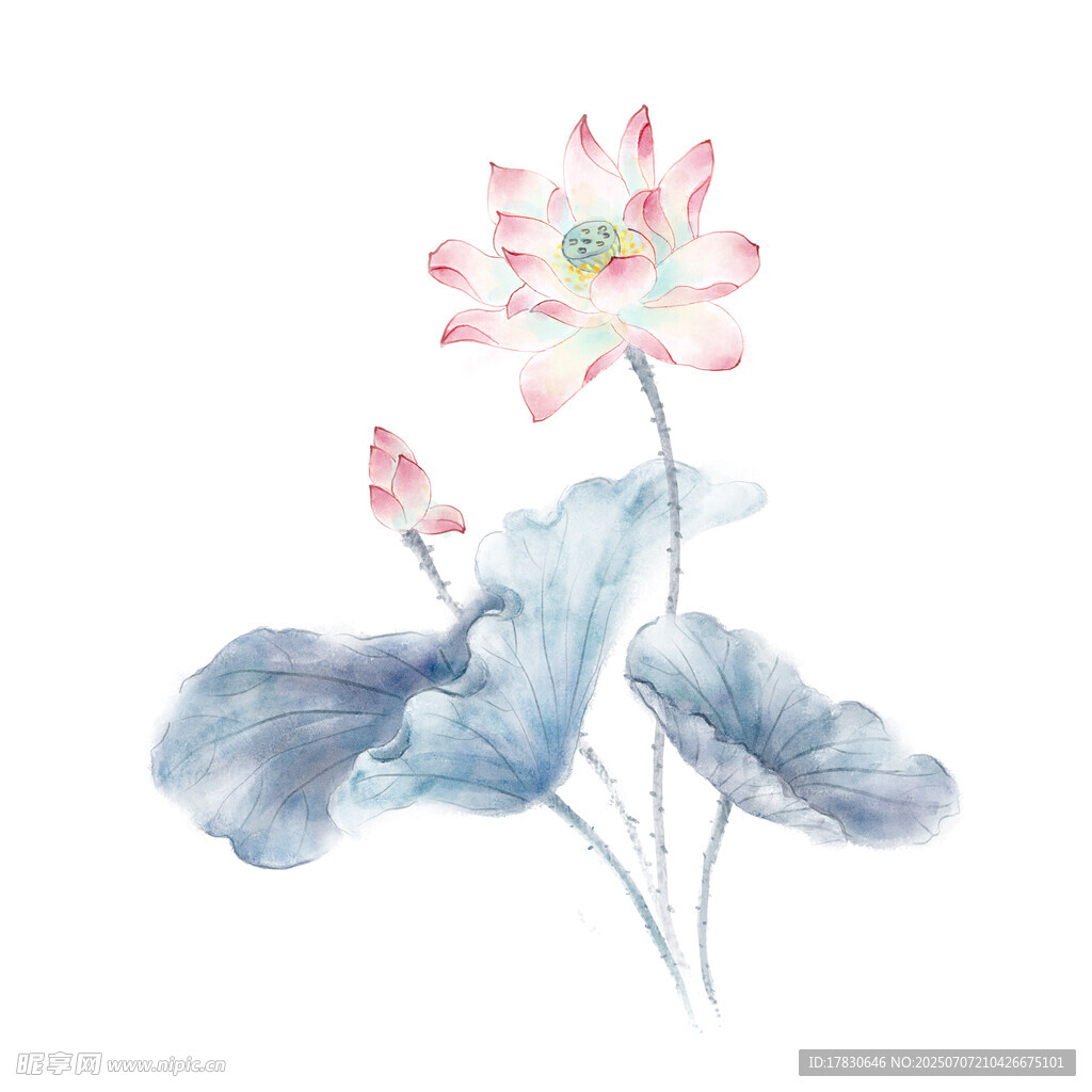 水墨荷花图
