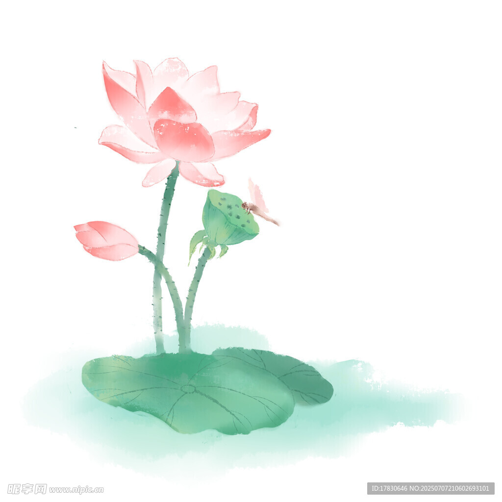 水墨风荷花插画