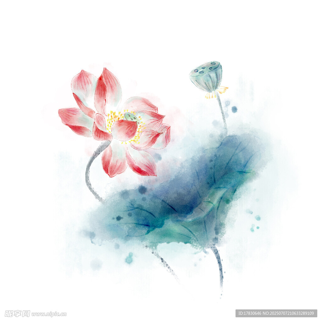 水墨荷花图