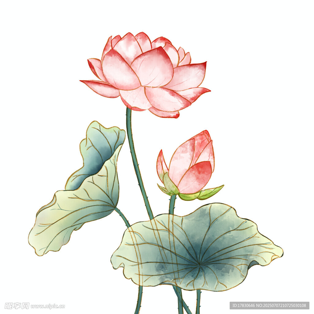 水墨风荷花插画