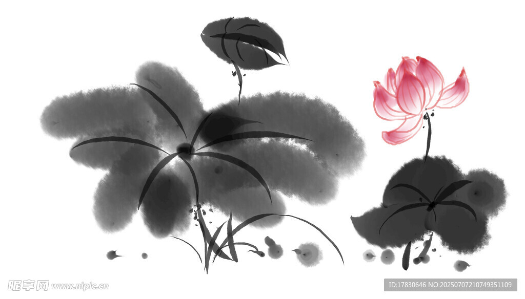水墨荷花图