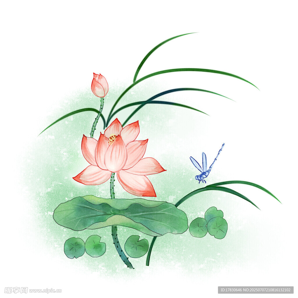 水墨荷花蜻蜓图
