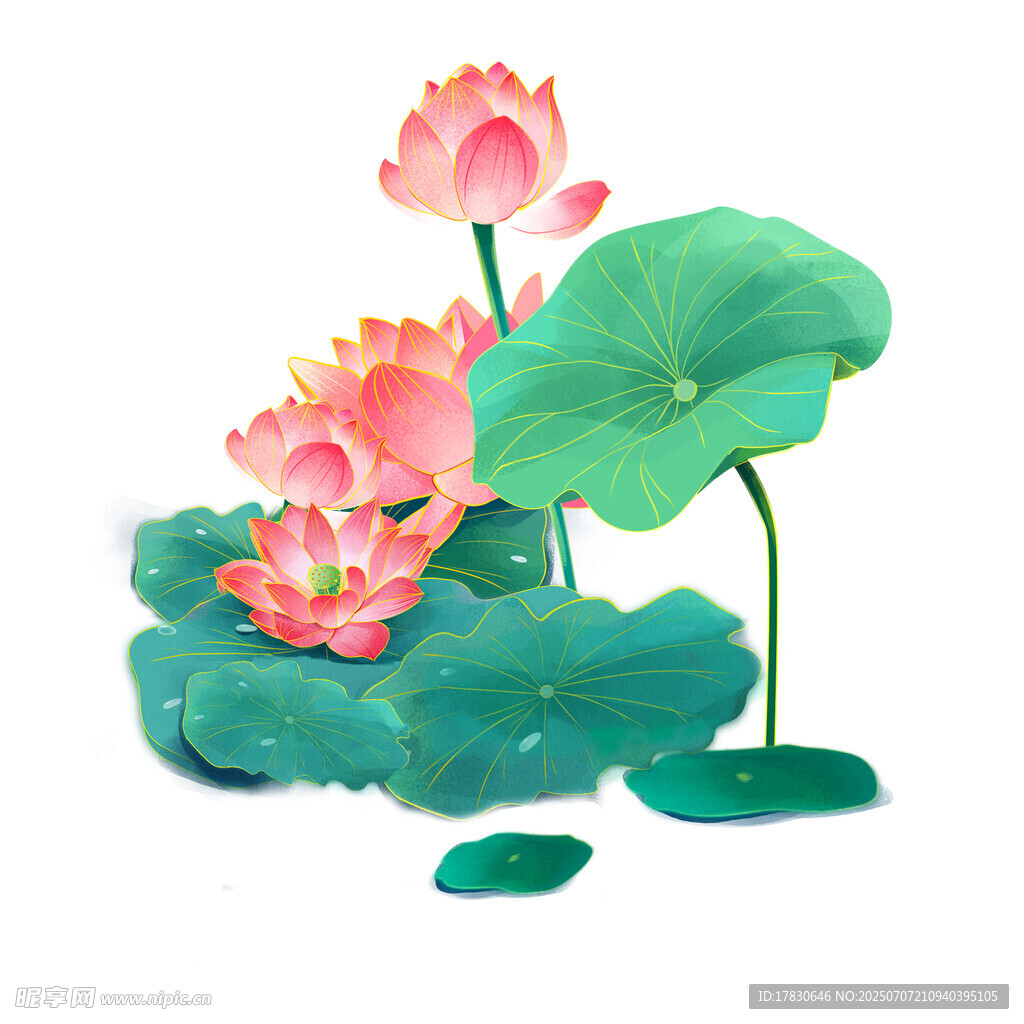 水墨风荷花荷叶插画