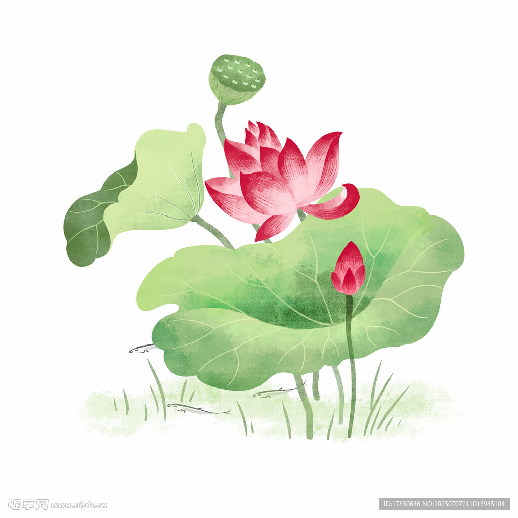 水墨荷花图