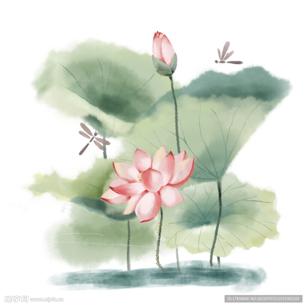 水墨荷花蜻蜓图