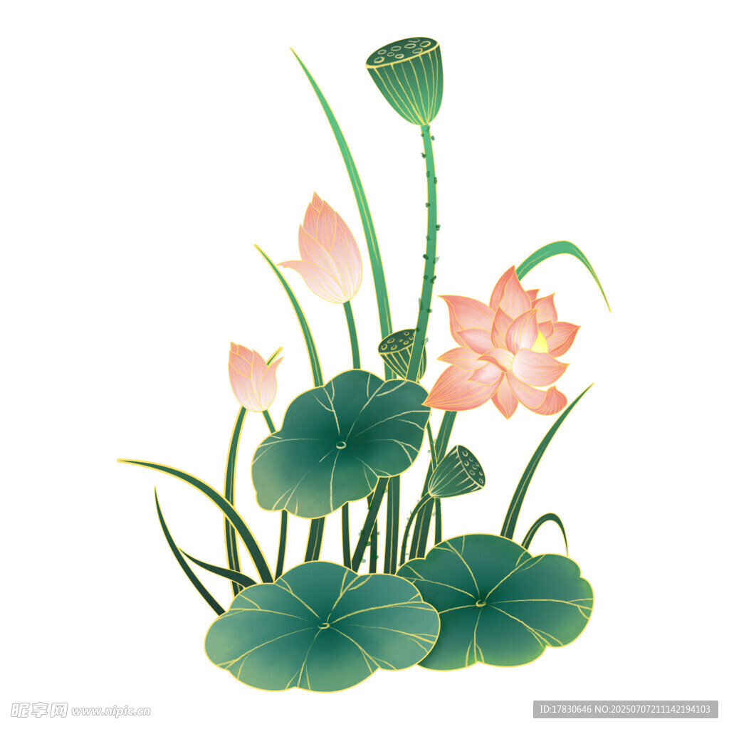 水墨风荷花插画