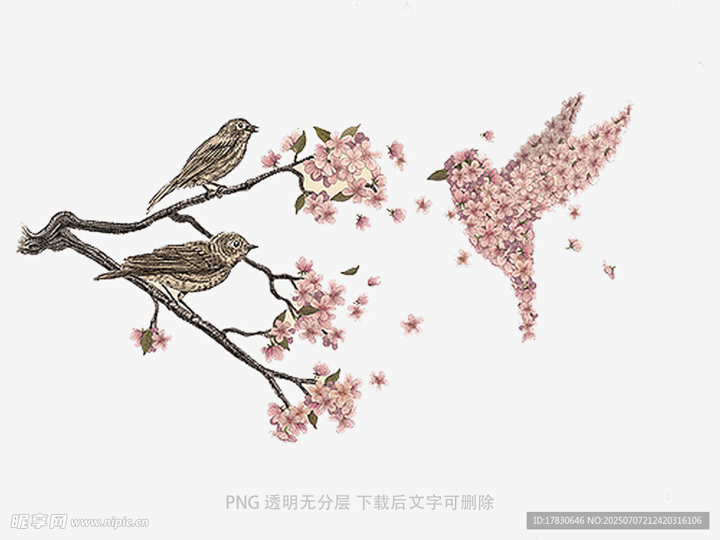 枝头双鸟伴繁花