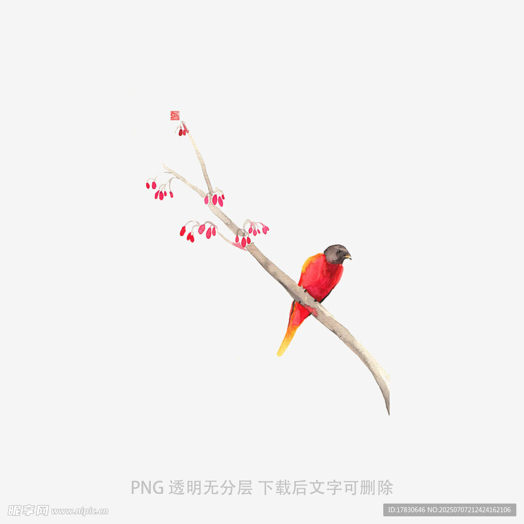 枝头红鸟赏繁花