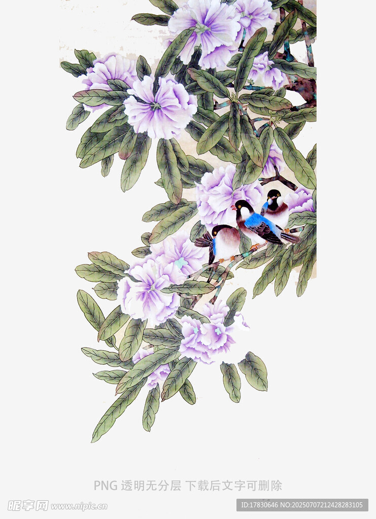 花鸟