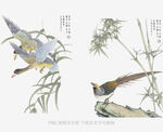 中式花鸟图绘