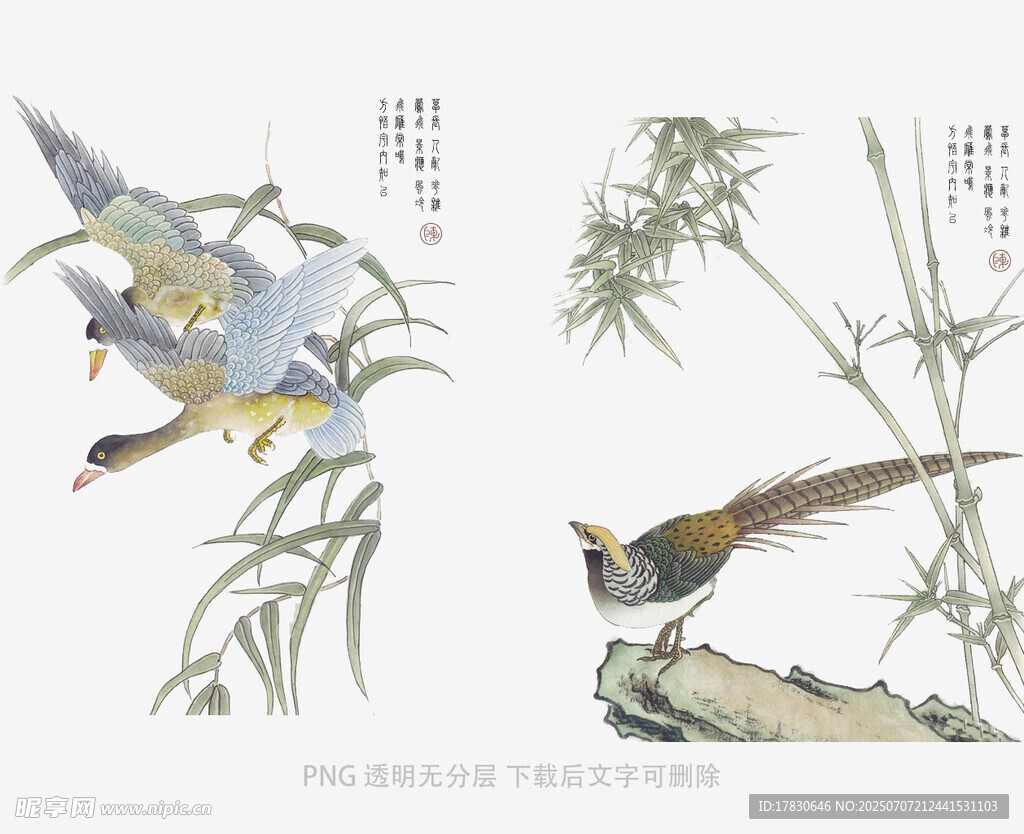中式花鸟图绘