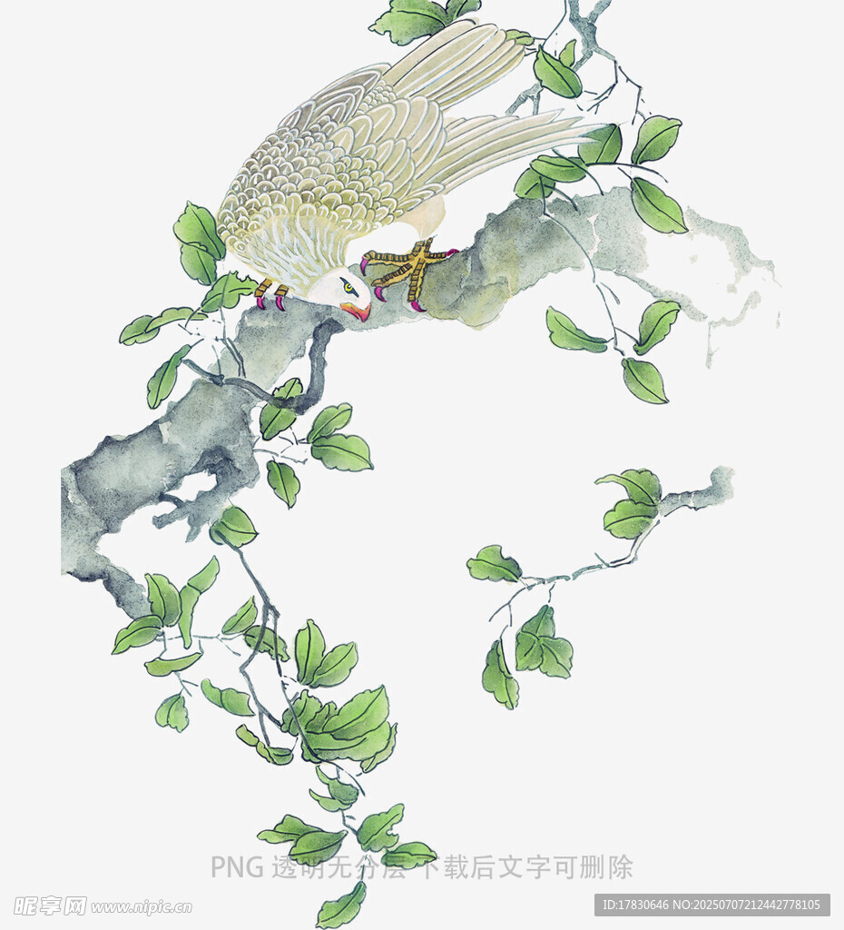水墨枝头绿叶小鸟图
