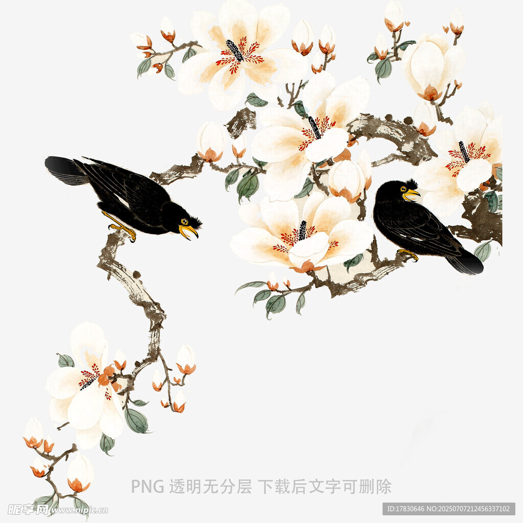 枝头双鸟伴繁花