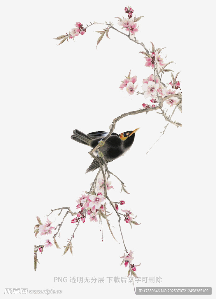 枝头小鸟伴繁花