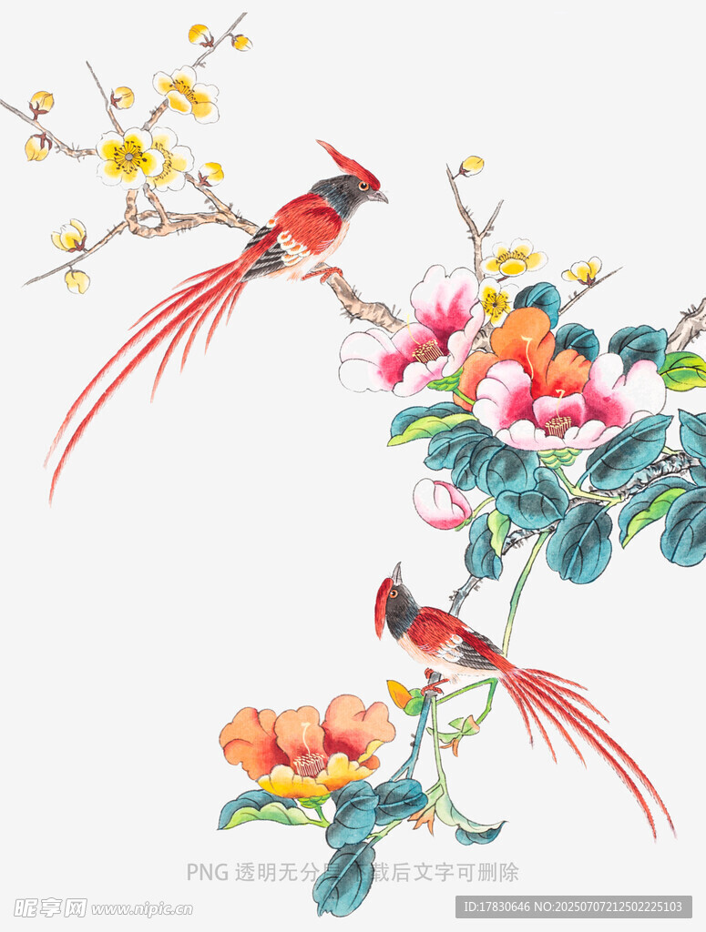 花鸟