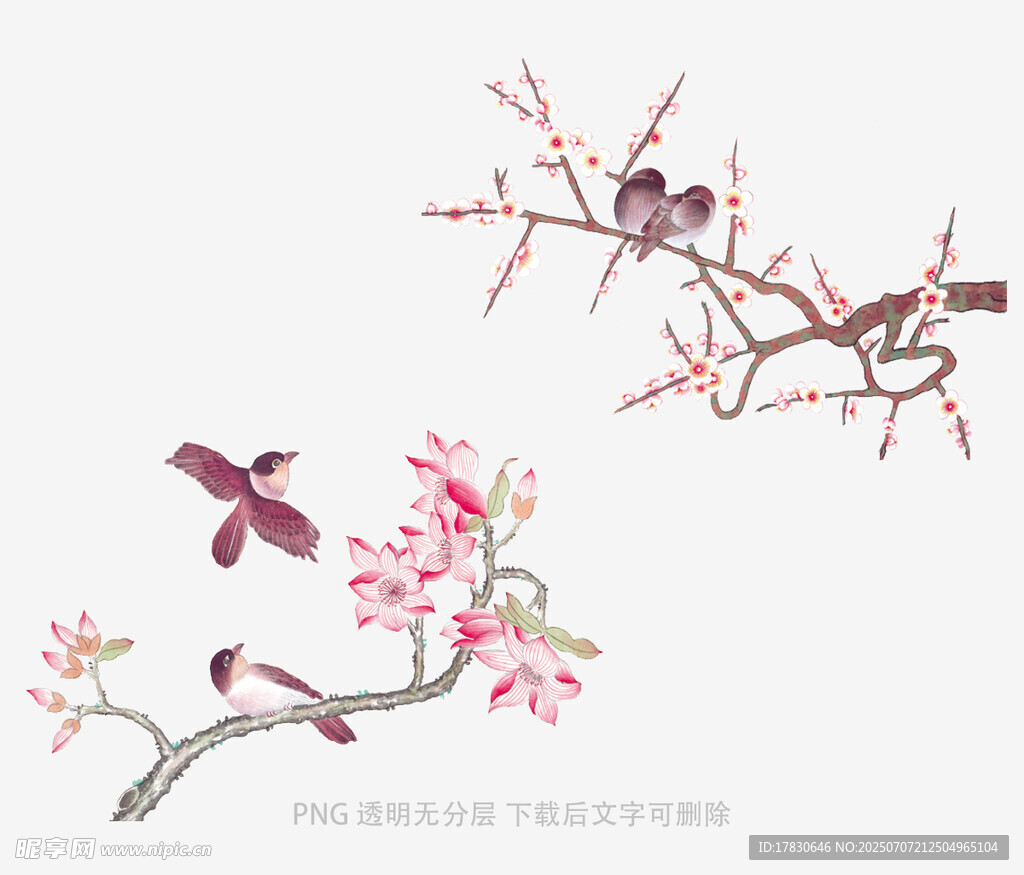 枝头花鸟图
