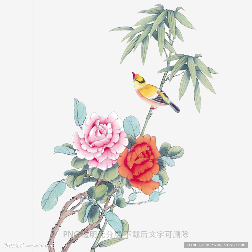 花鸟