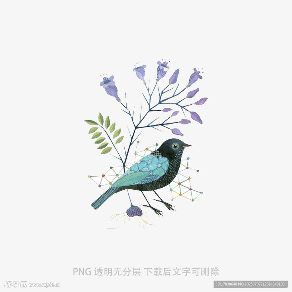 蓝鸟栖于花枝插画