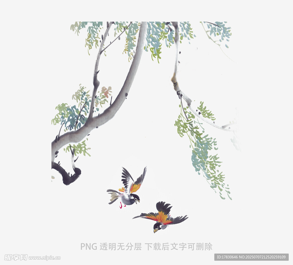 柳树枝头双鸟图
