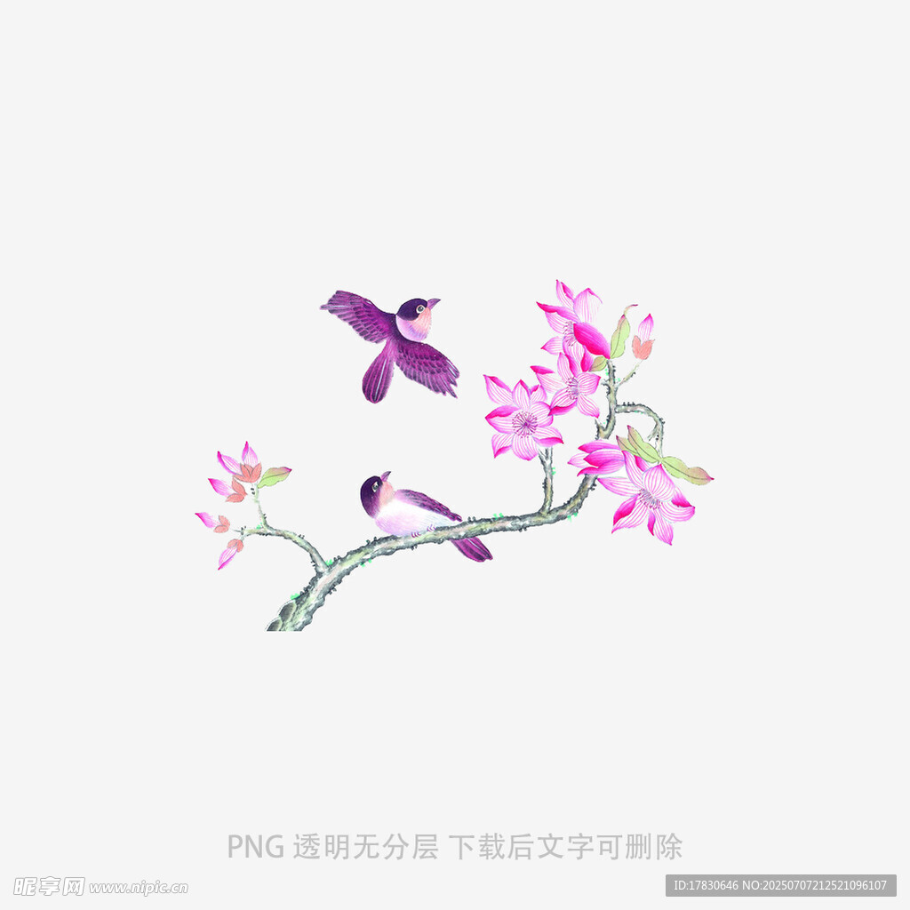 紫蝶戏粉花