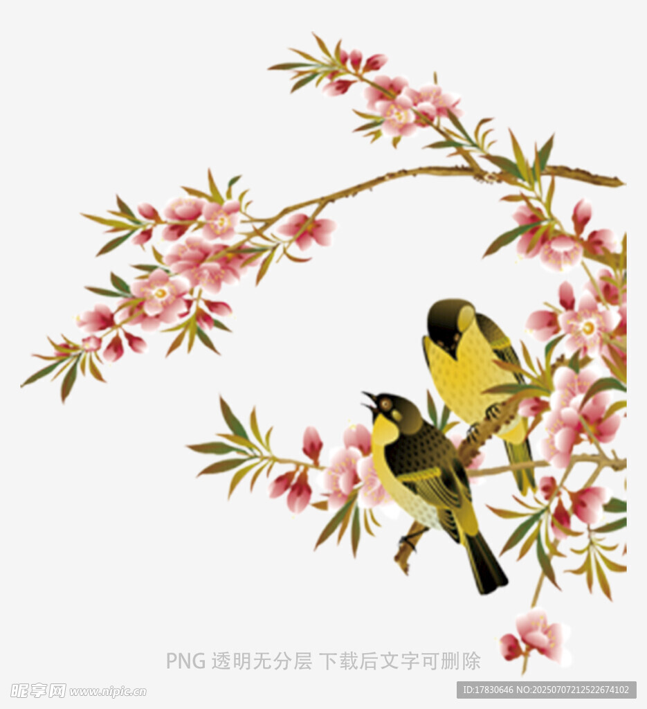 枝头双鸟伴繁花