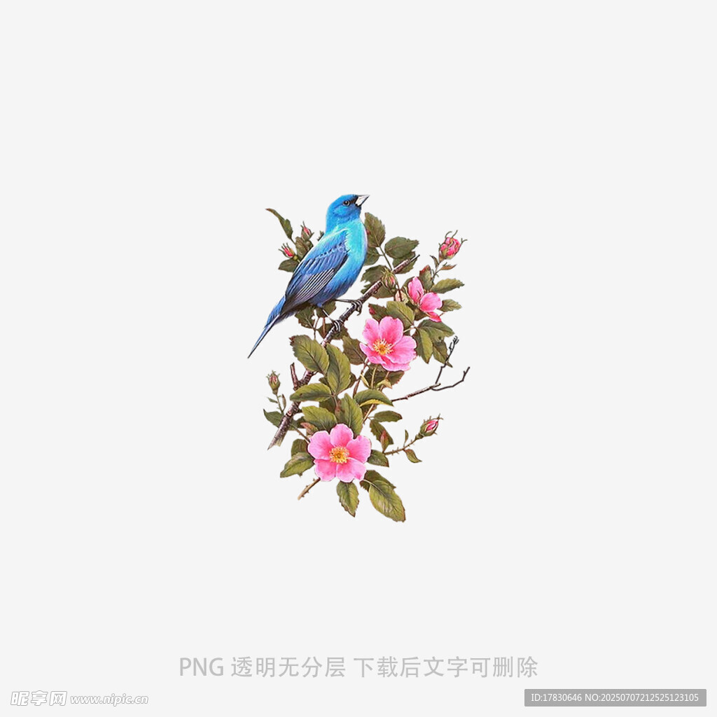 蓝鸟栖于繁花枝头