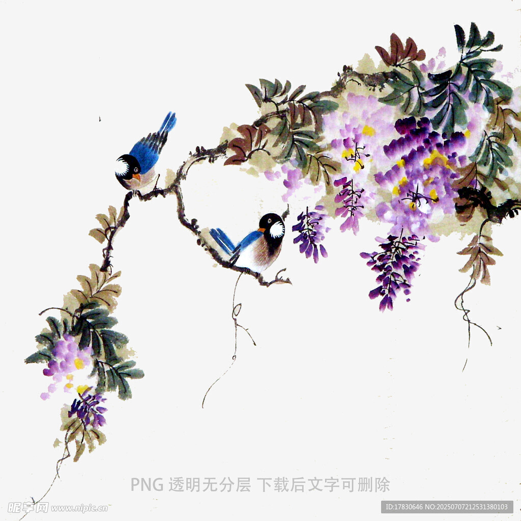 紫藤双蝶图
