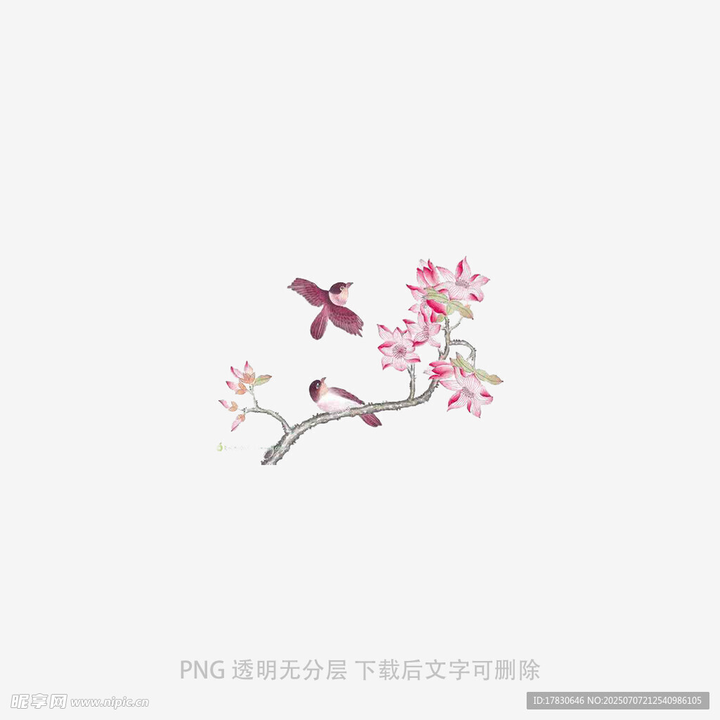 枝头双鸟伴繁花