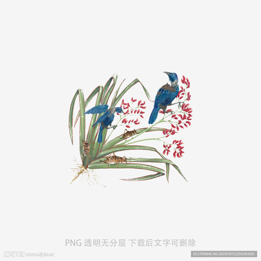 花鸟