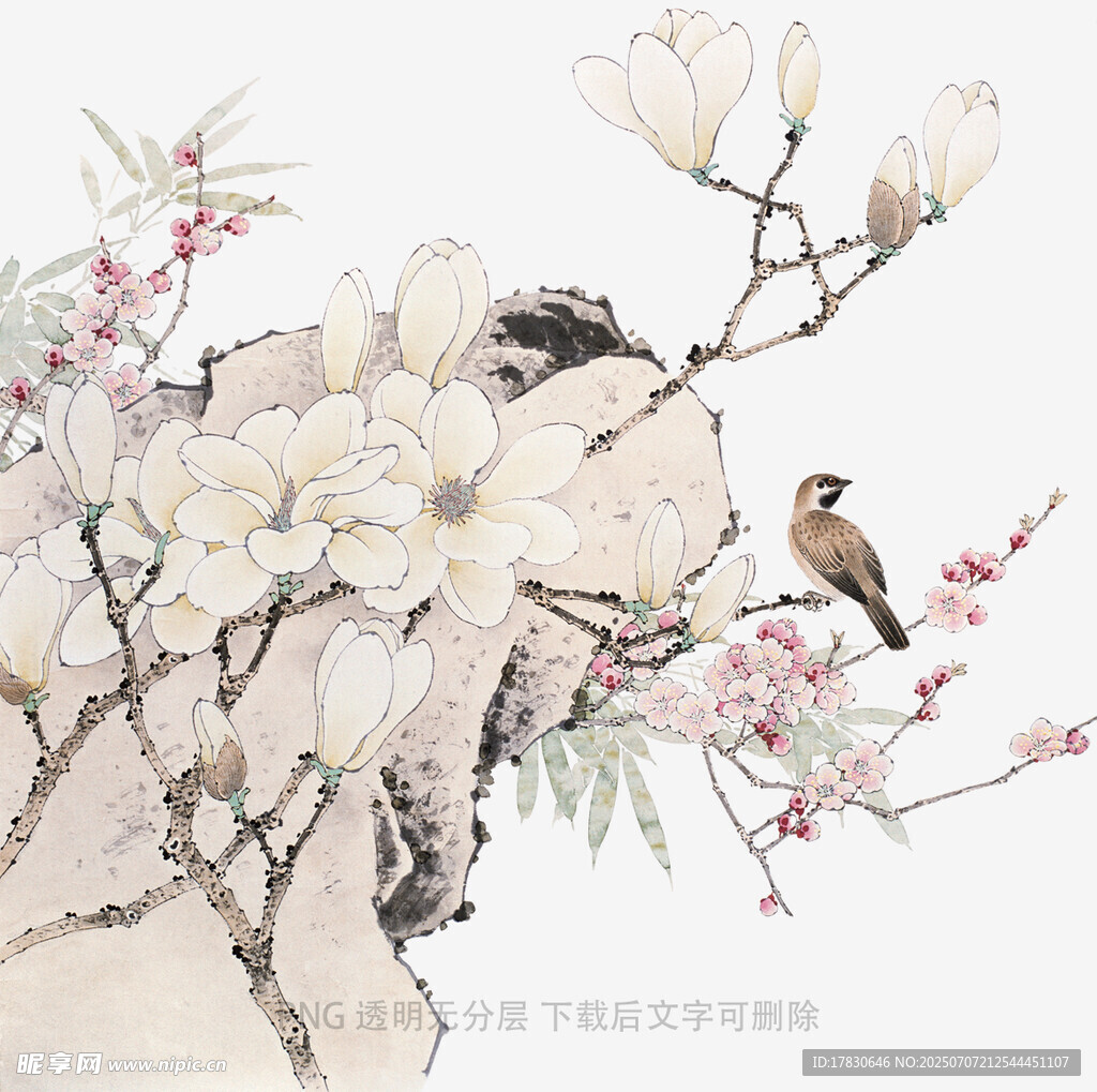 玉兰花枝上的双鸟图