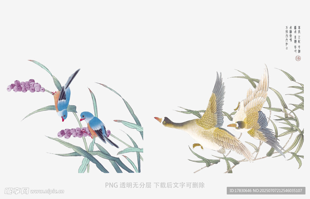 花鸟图绘