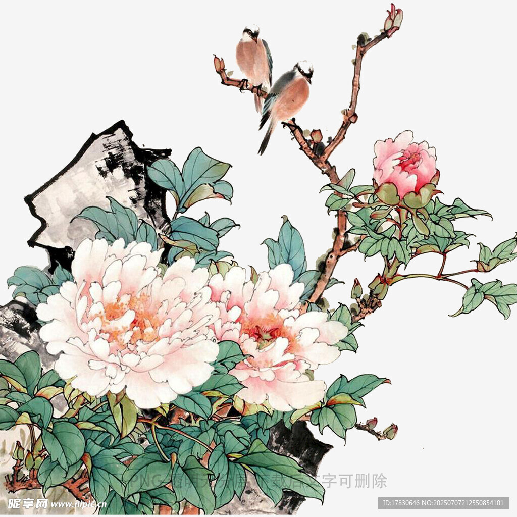 牡丹枝头双鸟图