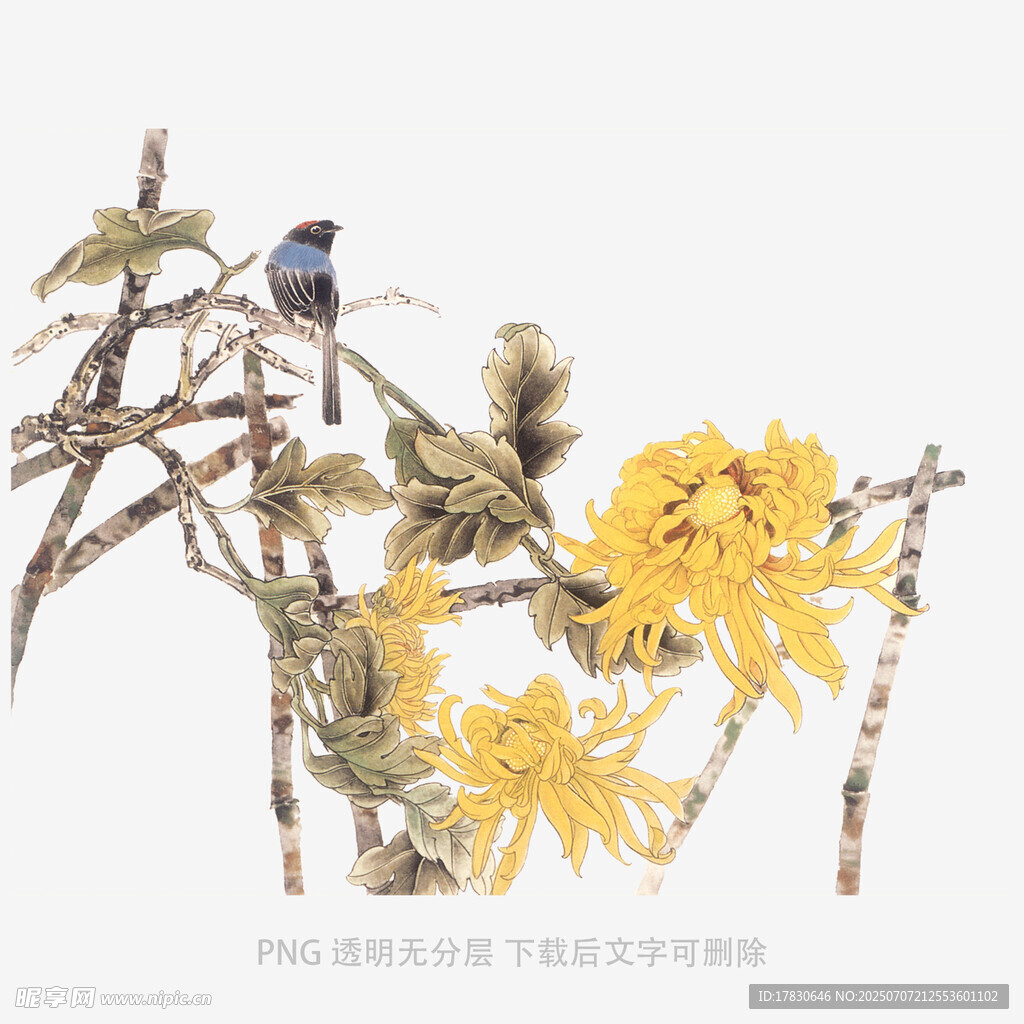 秋菊翠竹间的灵动小鸟
