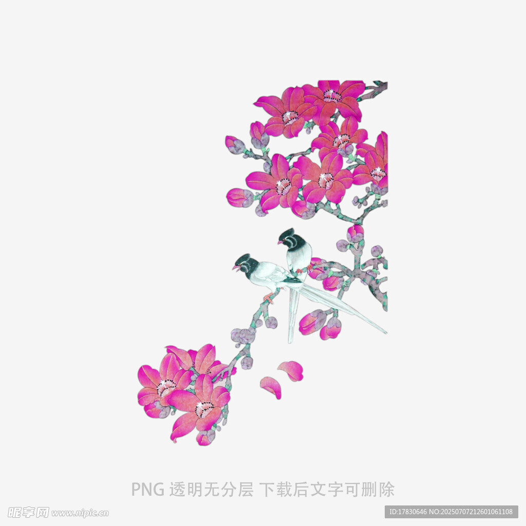 粉色花枝插画