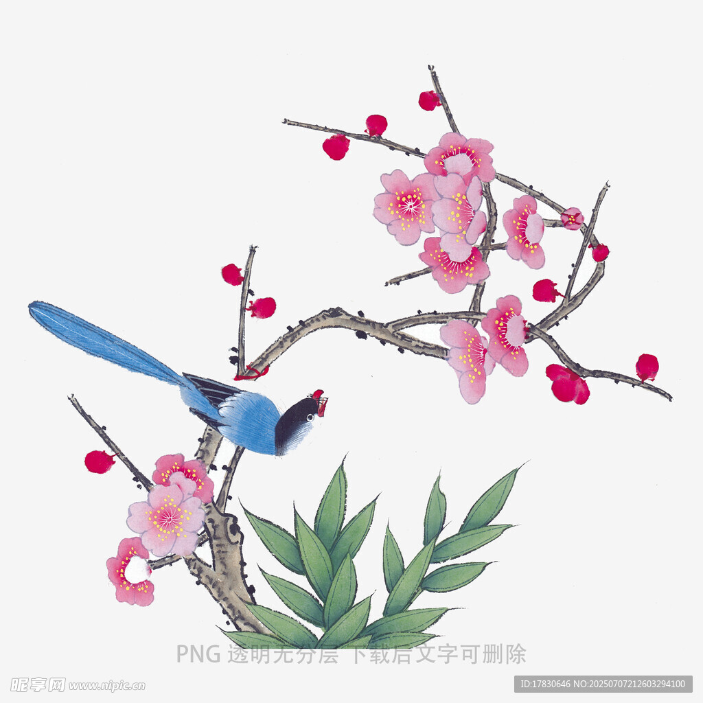 枝头蓝鸟伴繁花
