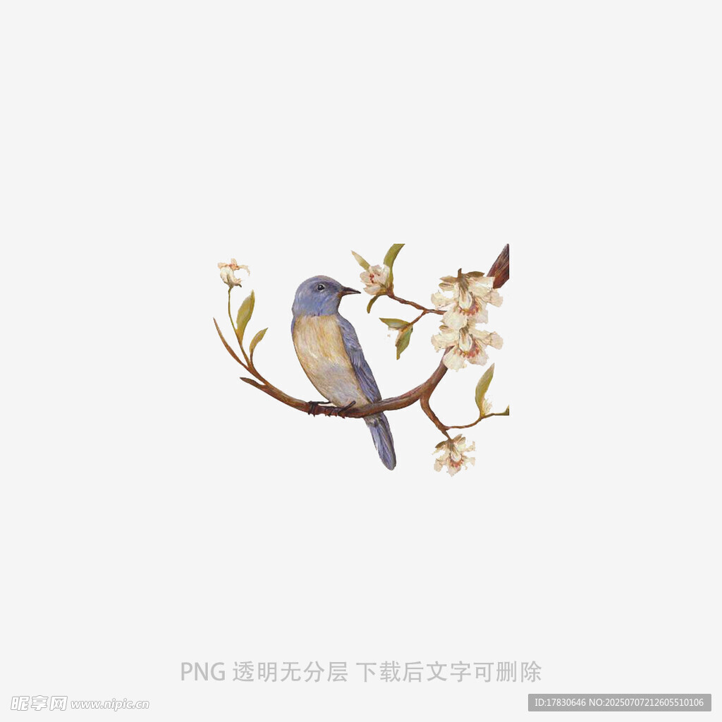 枝头小鸟栖于繁花间