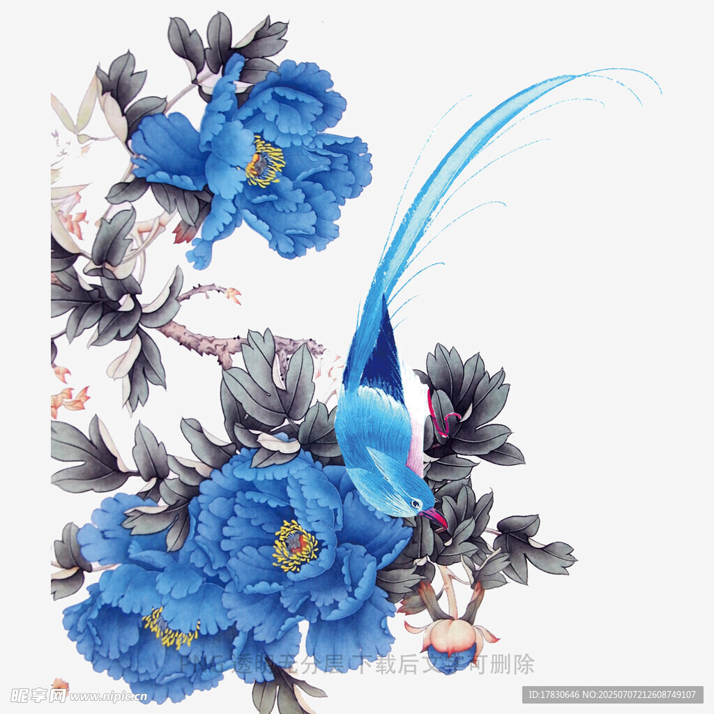 蓝花翠羽图