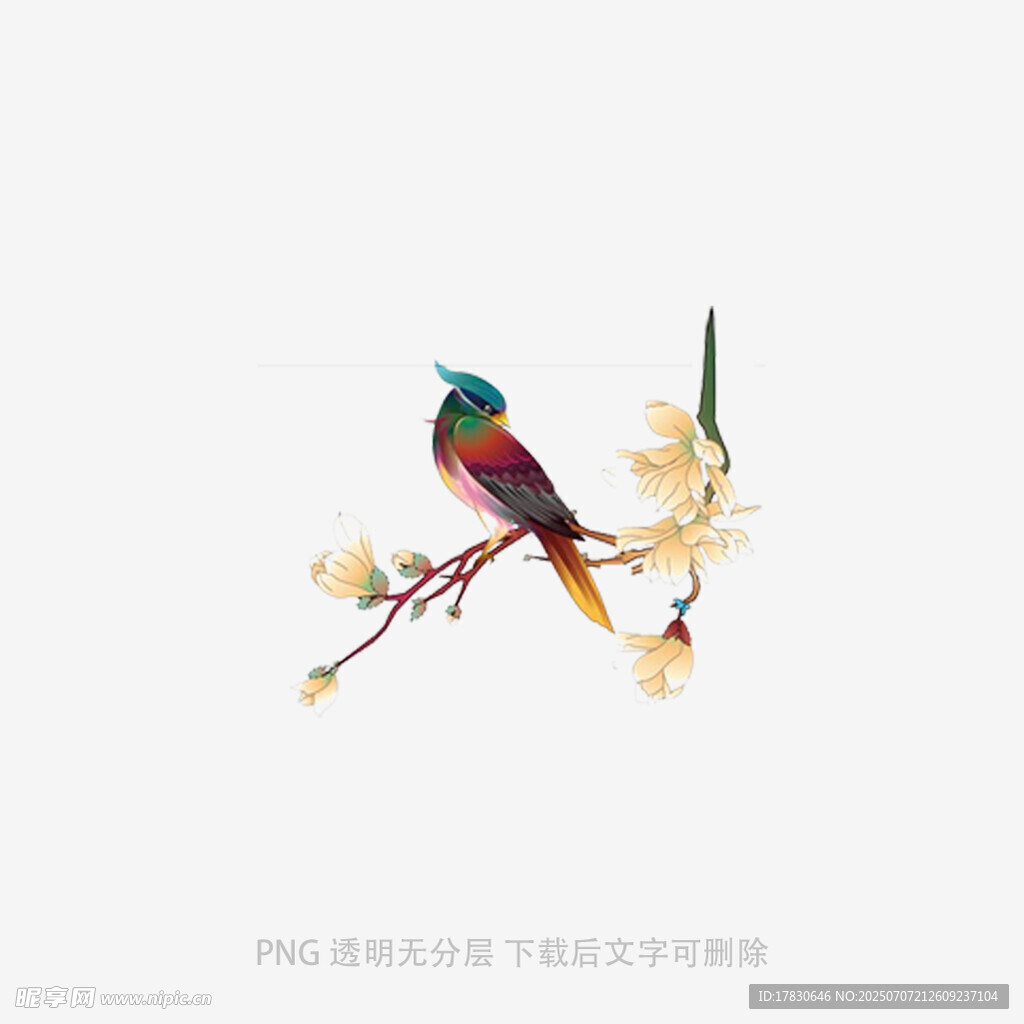 枝头彩鸟栖于繁花间