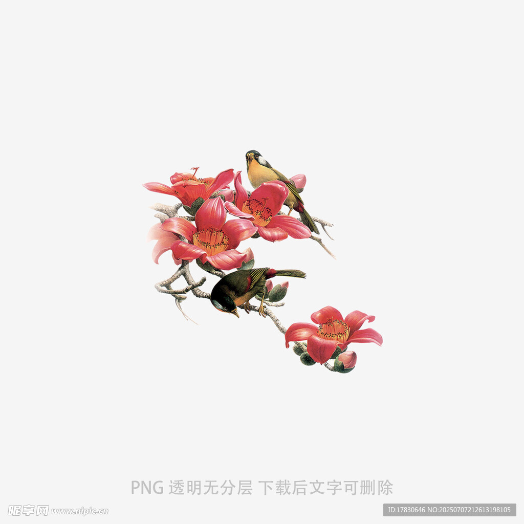 枝头花鸟图