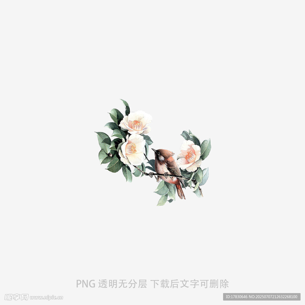 枝头花卉小鸟装饰图案