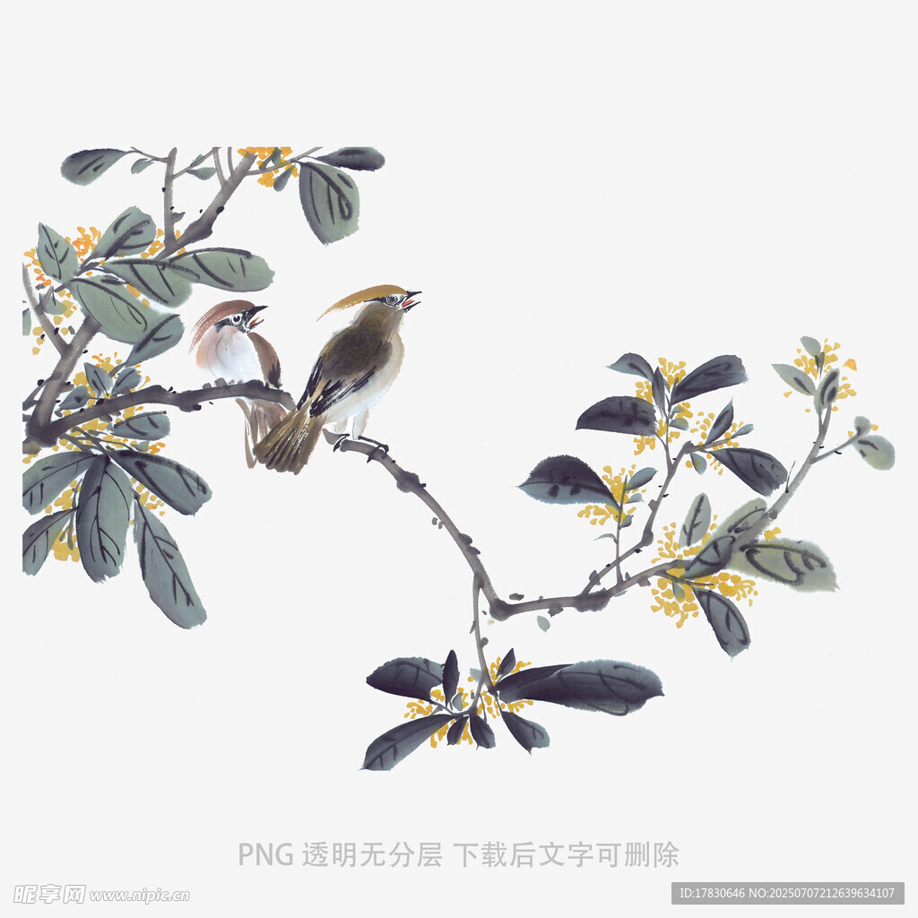 枝头双鸟图