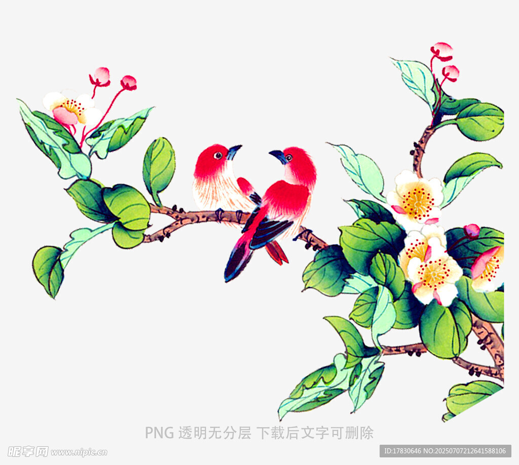 枝头双鸟伴繁花