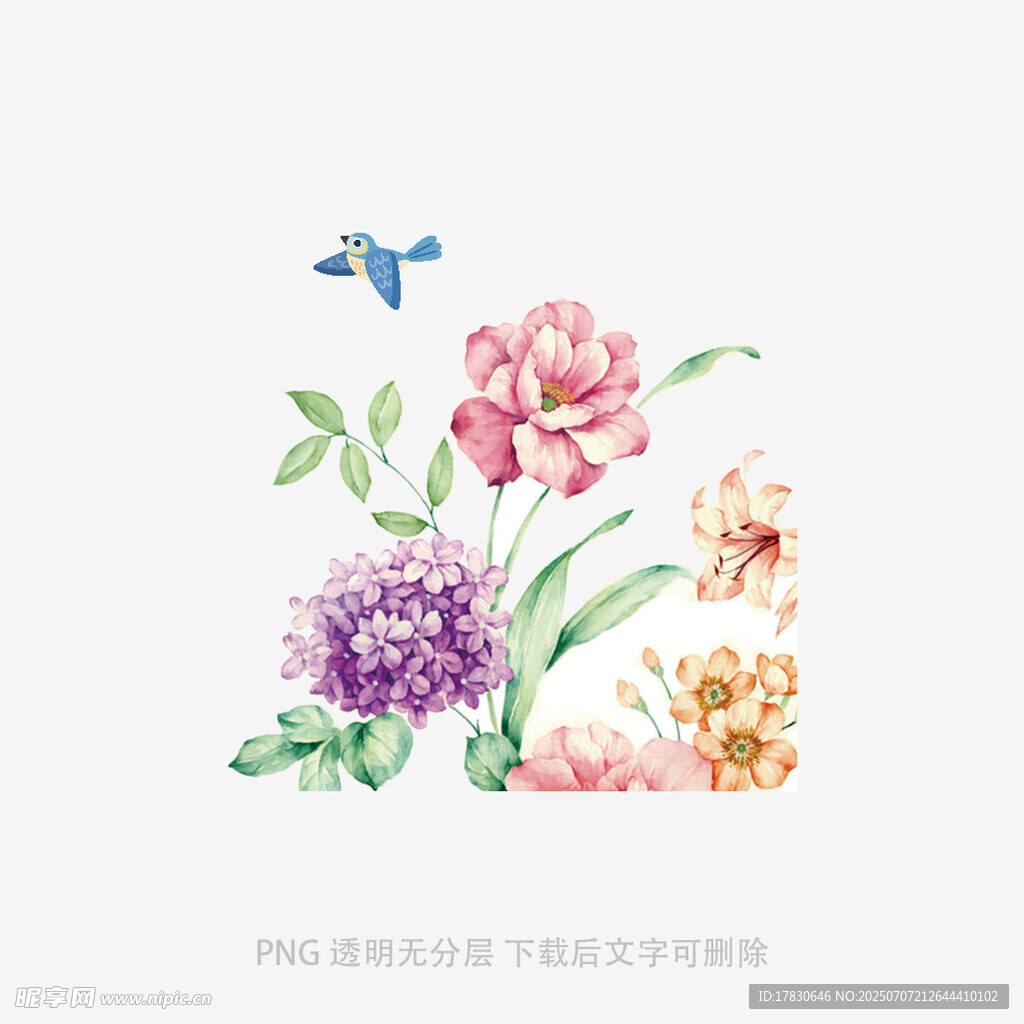 手绘花卉与飞鸟插画