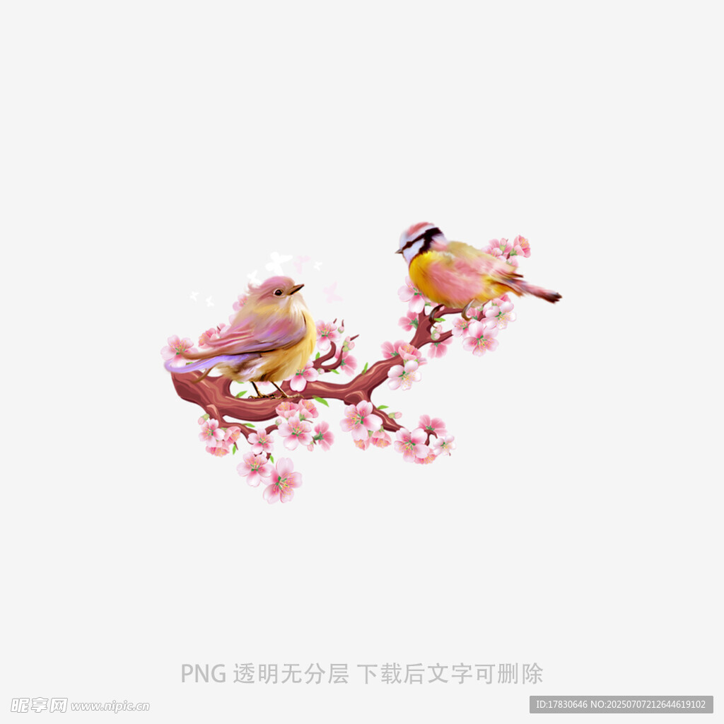 枝头双鸟赏繁花