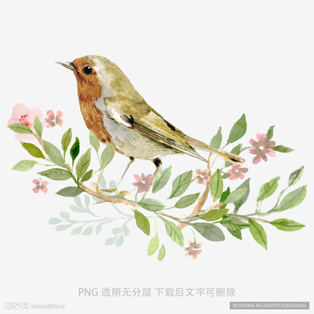 水彩画中栖息枝头的小鸟